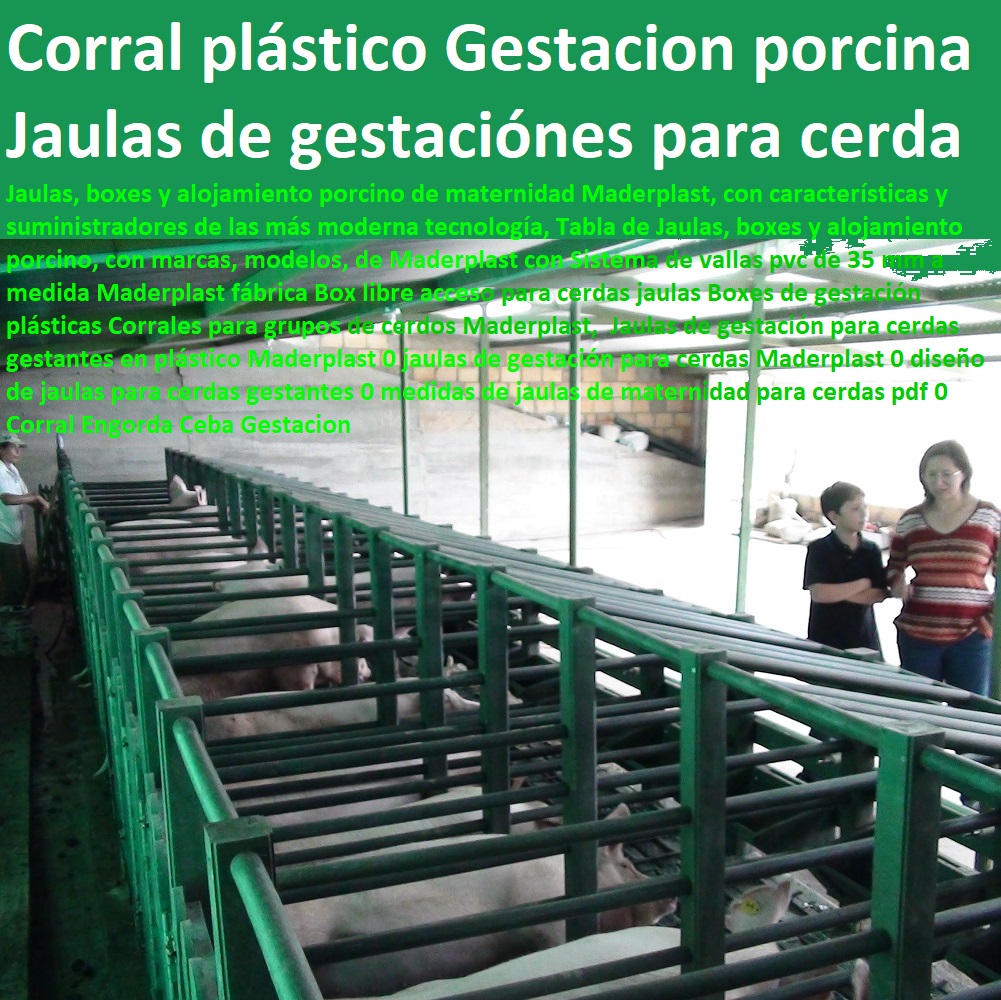 Jaulas de gestación para cerdas gestantes en plástico Maderplast 0 jaulas de gestación para cerdas Maderplast 0 diseño de jaulas para cerdas gestantes 0 medidas de jaulas de maternidad para cerdas pdf 0 Corral Engorda Ceba Gestación lechonera, destete, jaula pre ceba porcinos, corraleja, ceba, engorde cerdos, porqueriza cría de lechones, pisos jaulas comederos, porcicultura jaulas, corrales, parideras, porcinas corral, gestación cerdas, parto cerda, Jaulas de gestación para cerdas gestantes en plástico Maderplast 0 jaulas de gestación para cerdas Maderplast 0 diseño de jaulas para cerdas gestantes 0 medidas de jaulas de maternidad para cerdas pdf 0 Corral Engorda Ceba Gestación 